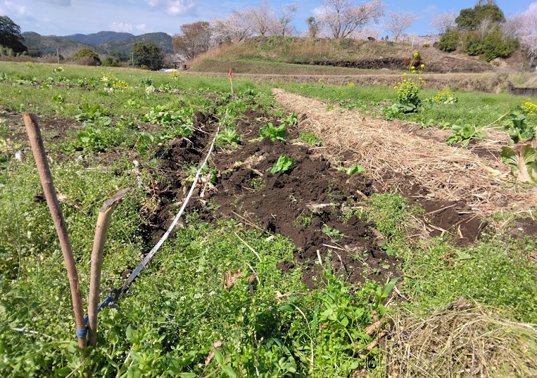 巻き尺で線引き